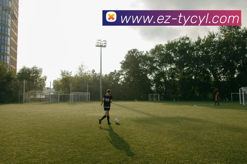 太阳城网站APP 体育赛事宣传图